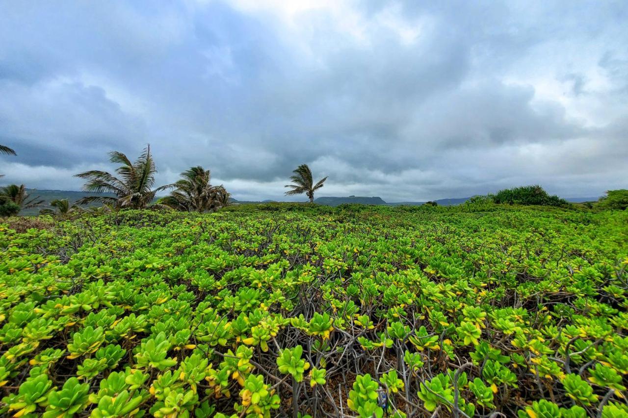 The Aloha Green House Retreat With Ocean Views! Naalehu Exterior foto